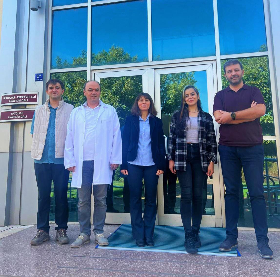 Öğretim Üyelerimiz, TÜBİTAK Proje Çalışmalarını Sürdürüyor