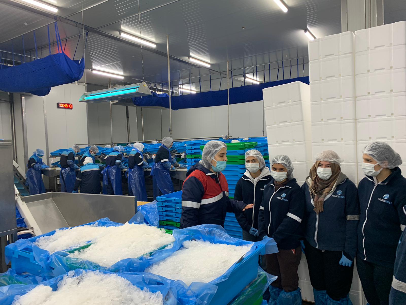 Bozdoğan MYO Öğrencilerinden Abalıoğlu Balık İşleme Tesisi’ne Teknik Gezi